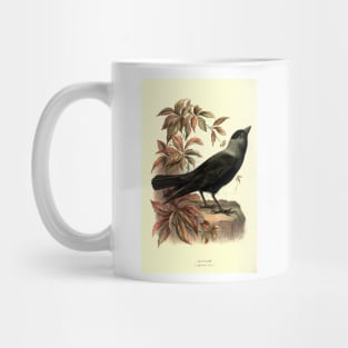 Jackdow Mug